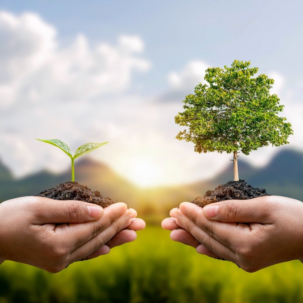 Sustainability and Environmental Responsibility at Somnath Precast